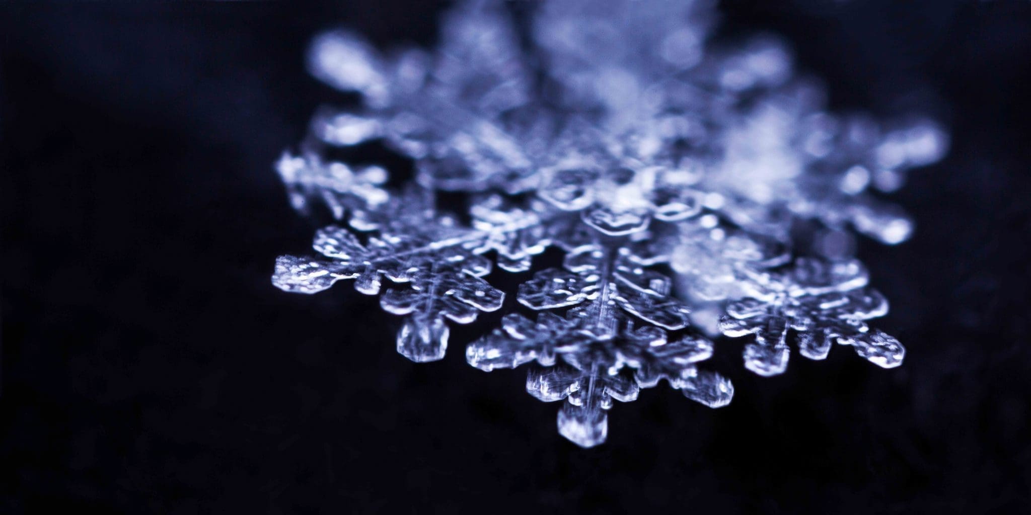Snowflake Perspective